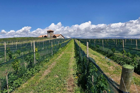 Sasunik: Van Ardi Winery Tour, Tasting & Dining Experience