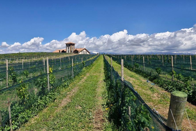 Sasunik: Van Ardi Winery Tour, Tasting & Dining Experience