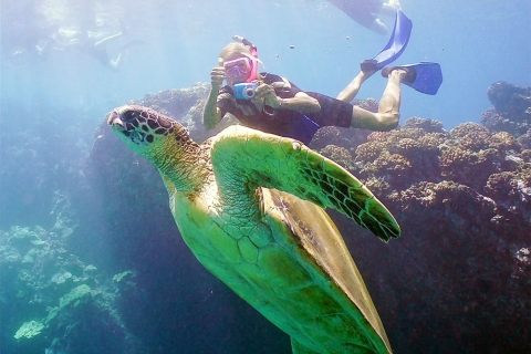 Maui: snorkeltour Molokini en Turtle Town met lunchMaui: Molokini en Turtle Town-snorkelavontuur met lunch