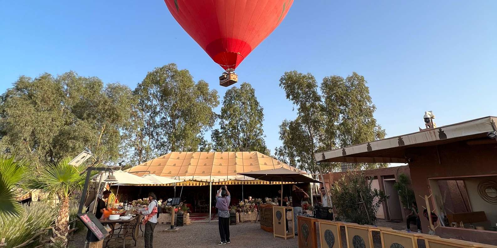 Marrakech balloon flight — aerial view of the Palmeraie palm grove at dawn