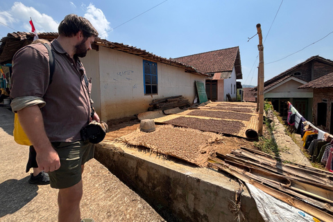 يوغياكارتا: جولة شاملة مع مرشد سير في تراس الأرزيوجياكارتا: جولة شاملة على مدرجات الأرز مع مرشد