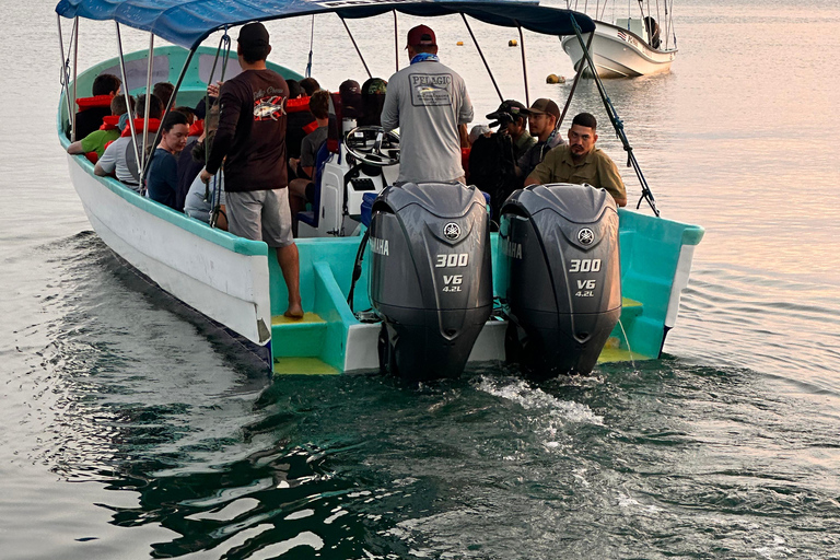 Puerto Jiménez: Private 1-Day Tour to Sirena in Corcovado