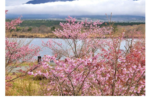 Tokyo : Visite privée d&#039;une journée au Mont Fuji et aux lacs