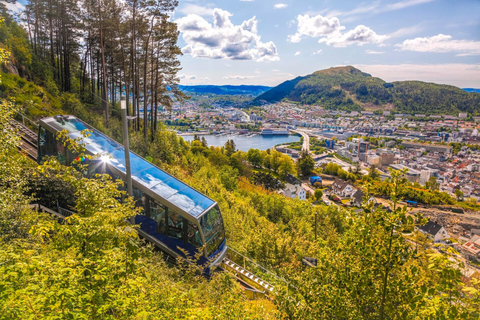 Bergen : billet pour le funiculaire de FløibanenBillet aller simple