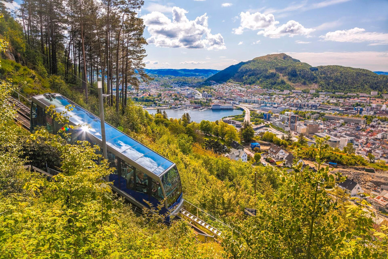 Bergen : billet pour le funiculaire de FløibanenBillet aller simple