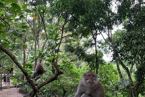 Bali: Ayung River Rafting with Ubud Tour and Lunch