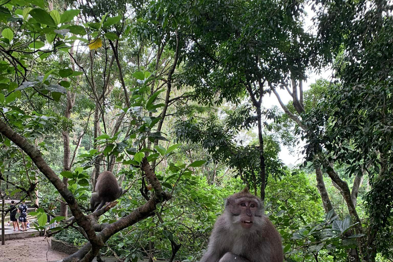 Bali: Ayung River Rafting with Ubud Tour and Lunch