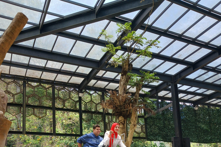 Taman Safari and Tea Plantation Tour at Puncak