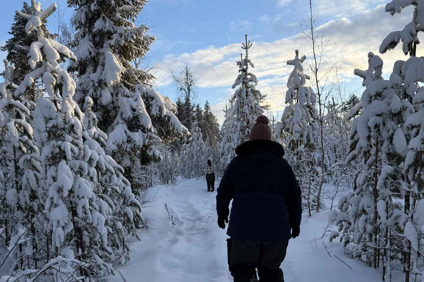 Överkalix - Lapland : Full-Day Snowshoe Tour with Lunch
