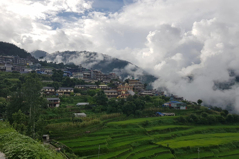 Pokhara: Mardi Himal Trek mit 1 Nacht in einem Waldcamp