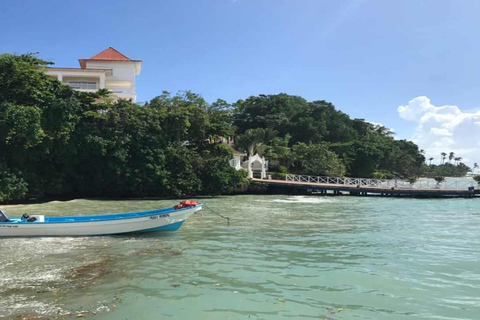 Punta Cana: Samaná Bay Whale Watching & Cayo Levantado