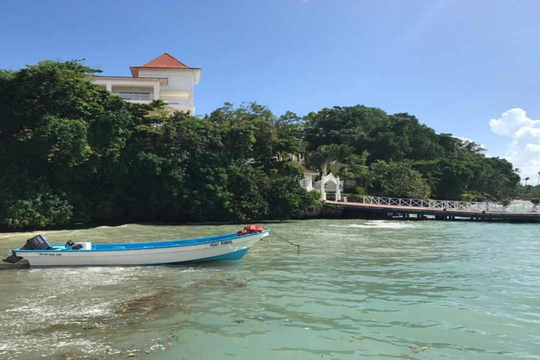 Punta Cana: Samaná Bay Whale Watching & Cayo Levantado