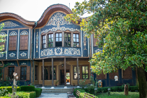 From Sofia: Plovdiv, Starosel, and Art Village Day Trip Spanish-guided tour