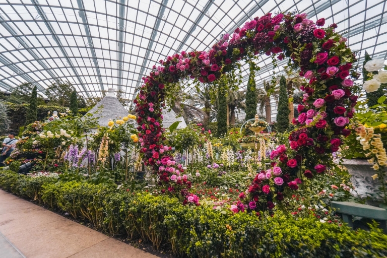 Singapur: Gardens by the Bay Ticket de entradaTicket con Cloud Forest (no residentes de Singapur)