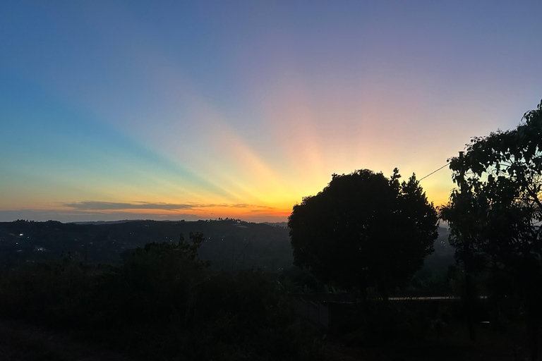 恩德培：与当地人一起学习陶艺，欣赏日落茶园美景探索坎帕拉当地陶艺贫民窟社区