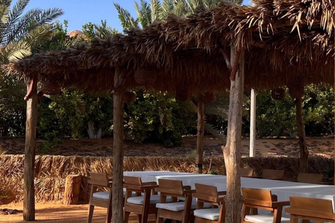 AlUla: Oasis Farm Tour and Traditional Feast with Locals