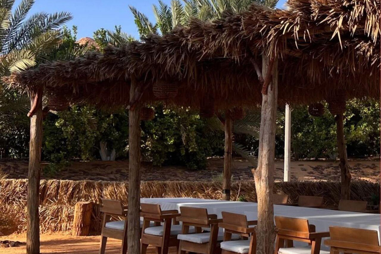 AlUla: Oasis Farm Tour and Traditional Feast with Locals