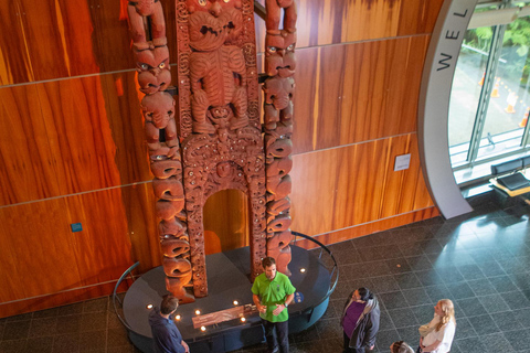 Museum of NZ Te Papa Tongarewa: Māori Highlights Tour