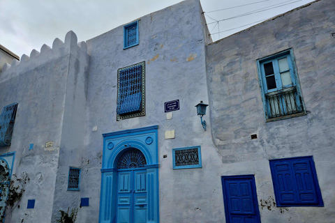 Excursión de un día a Cartago y Sidi Bou Said