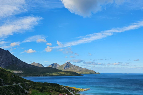Remote Arctic Fjord Expedition to Grøtfjord & Rekvik