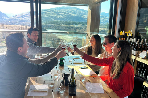 Queenstown: 2 Wine Regions & Wine Cave Tour - Local NZ Guide
