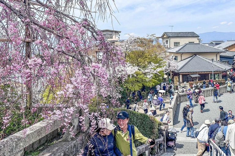 Osaka: tour privato di Kyoto e Nara con servizio di pick-up in hotel