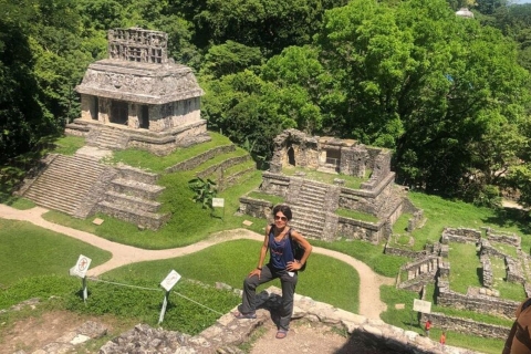 Zona arqueológica de Palenque desde Villahermosa o el aeropuertoYacimiento arqueológico de Palenque 2024