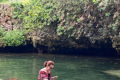 ZANZIBAR: Stone Town, snorkling + sjöstjärnor och havssköldpaddorVIKTIGT: TRANSFER INGÅR INTE I DET ALTERNATIV DU VÄLJER