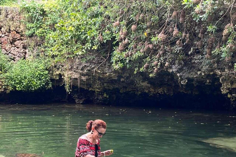 ZANZIBAR: Stone Town, snorkling + sjöstjärnor och havssköldpaddorVIKTIGT: TRANSFER INGÅR INTE I DET ALTERNATIV DU VÄLJER