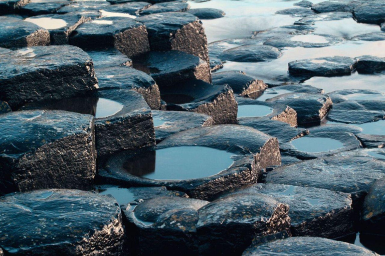 Giant's Causeway + Dark Hedges Day Tour