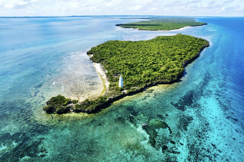 Mnemba Eco Snorkel,Dolphins,Starfish & Tumbatu Island Sunset