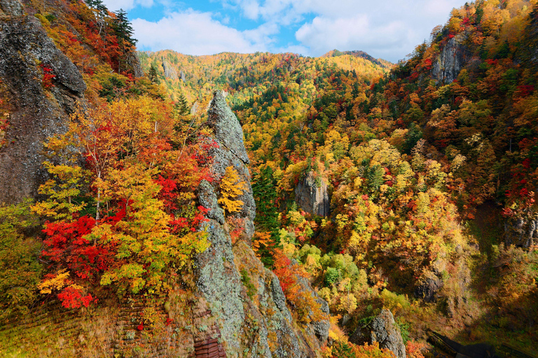 From Sapporo: Hoheikyo Dam, Jozankei & Lake Shikotsu Tour Shared Tour, Meet at Sapporo Station