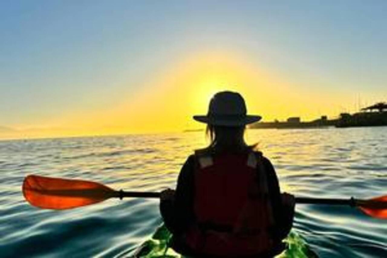 Cape Town: Granger Bay Guided Kayak Tour Cape Town : Kayak Adventures Granger Bay