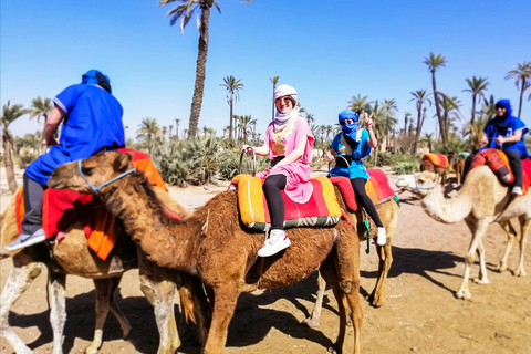 Marrakech : balade en chameau à la palmeraieMarrakech : balade en chameau de 3 h à la palmeraie