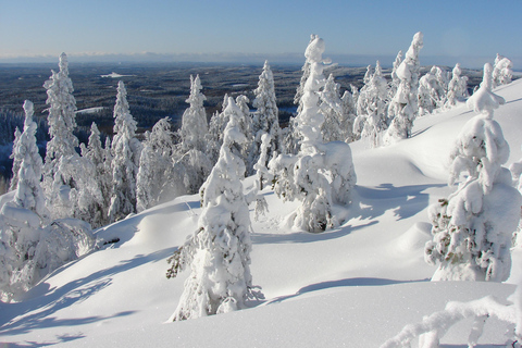 Rovaniemi: sneeuwschoenwandelen dagtrip met lunch - Pyhä-LuostoRovaniemi: Sneeuwschoenwandeling dagtrip met lunch - Pyhä-Luosto