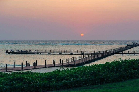 De Yeda a KAEC: vive la ciudad del futuro.De Yeda a KAEC: vive la ciudad del futuro