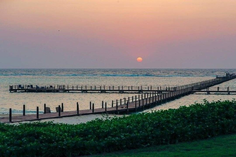 De Yeda a KAEC: vive la ciudad del futuro.De Yeda a KAEC: vive la ciudad del futuro