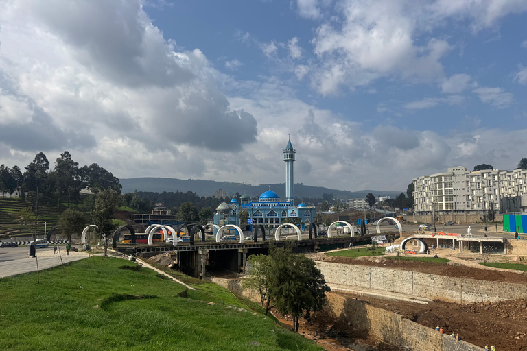 Addis Ababa: 14-Day National Parks and Wildlife Tour