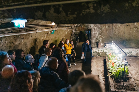 Naples (Neapel) Inträdesbiljett till Neapels tunnelbana och guidad turGuidad tur på italienska