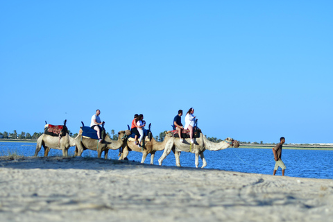 Djerba 1H30 balade à dos de chameau