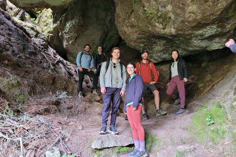 Oaxaca: Sierra Norte Hike & Indigenous Village