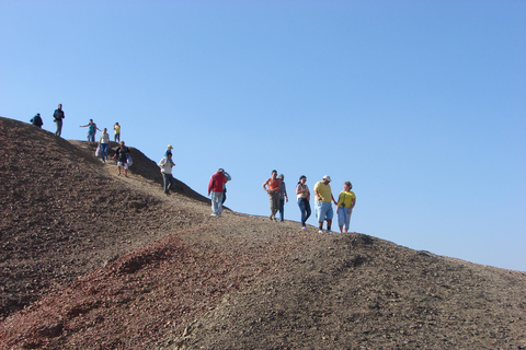 Marsa Alam: Sand Buggy Adventure with Camel Ride & Dinner