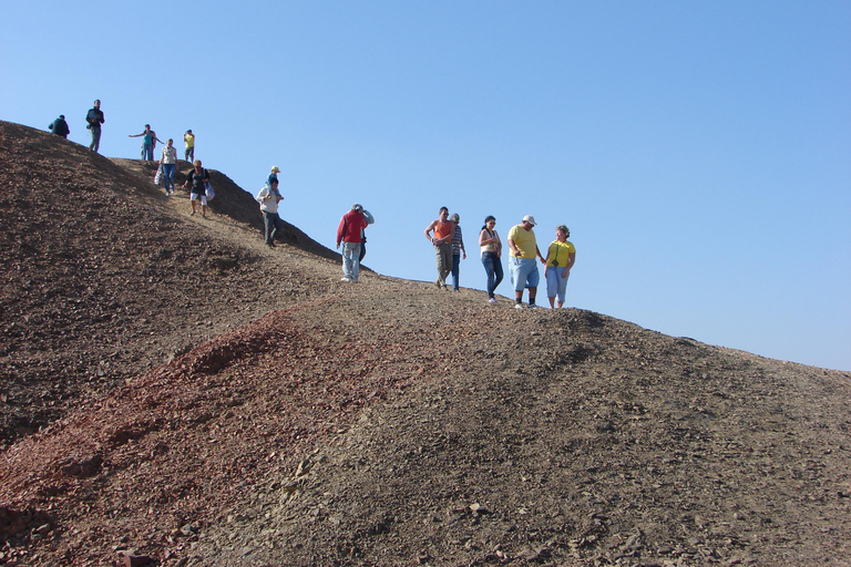 Marsa Alam: Sand Buggy Adventure with Camel Ride & Dinner