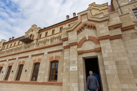 Z Kiszyniowa: wycieczka po winnicy z degustacją wina do Castel MIMI