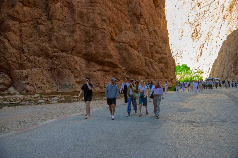 From Fes to Marrakech: 3-Day Merzouga Desert Tour Shared Desert Tour With Standard Camp