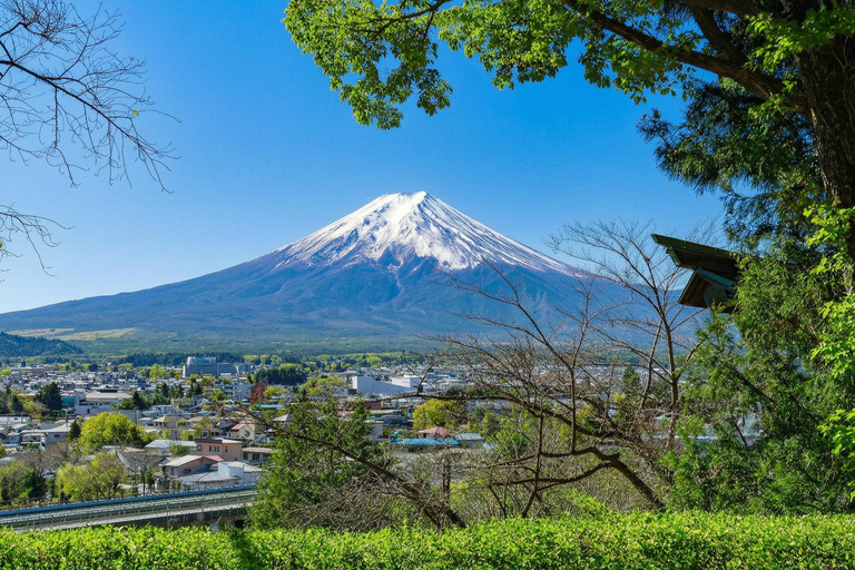 Mt. Fuji & Hakone Tour: Arakurayama, OshinoHakkai, Owakudani Tokyo Station | 7:30 AM Departure with English Guide