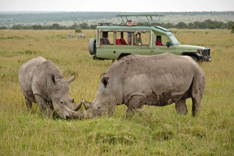 From Nairobi: Overnight Ol Pejeta Conservancy Safari From Nairobi: Overnight Ol Pejeta Conservancy Safari
