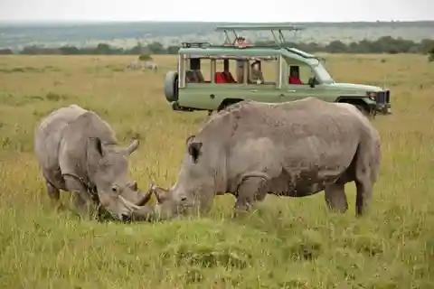From Nairobi: Overnight Ol Pejeta Conservancy Safari