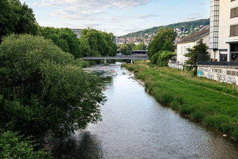 Zürich: A Walk Through Zurich's Secret Green City Group Tour