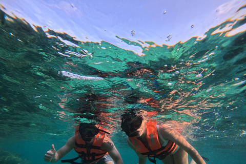 Isla Mujeres: Snorkel tour in 3 spots, Underwater Museum, and reefs! Isla Mujeres: Snorkeling tour in 3 spots, Underwater Museum and reefs!